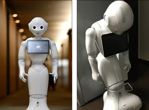 أمثلة على روبوتات الذكاء الاصطناعي