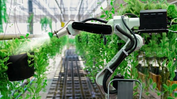 تحديات استخدام الذكاء الاصطناعي في مجال الزراعة